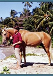 Cristobalito, the Calypso Colt